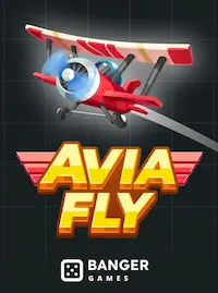 Avia Fly crash at 55BD COM